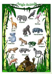 English Worksheet: Jungle Animals