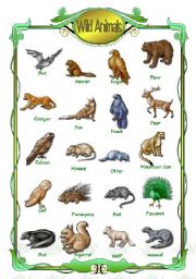 English Worksheet: Wild animals