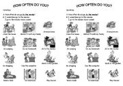 English Worksheet: how often do you