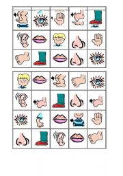 English Worksheet: Bingo Body 6