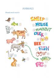 English Worksheet: animals