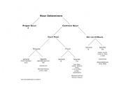 English Worksheet: Determiners Graphic Organizer