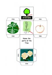 English Worksheet: Parts of the Tree