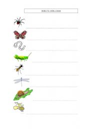 English Worksheet: Insects