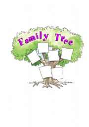 family tree