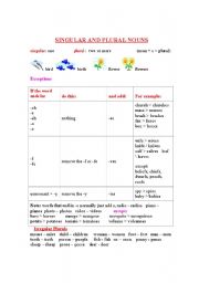 English Worksheet: Singular and Plural Nouns