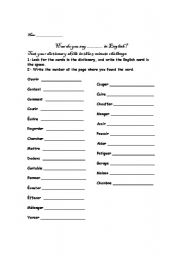 English Worksheet: Dictionary Challenge