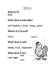 English worksheet: Chickens