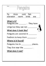 English Worksheet: Penguins