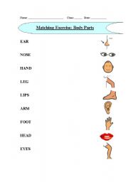 English Worksheet: Matching Exercise (Body Parts)