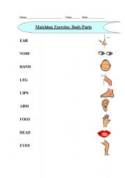 English worksheet: Matching Exercise (Body Parts)