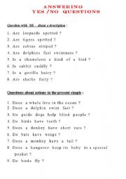 English worksheet: Yes/No Questions-  About  Animals...