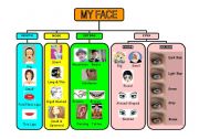 English Worksheet: MY FACE