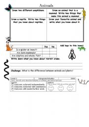 English worksheet: Animals