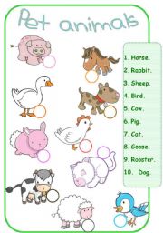 worksheet about pet animals ( farm animals) - ESL worksheet by Glamorous