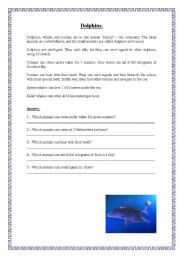 English Worksheet: Dolphins