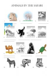 English worksheet: Animals in the safari