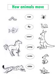 English Worksheet: How Animals Move