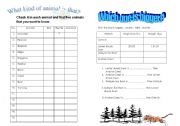 English worksheet: Wild animal