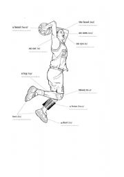 English worksheet: the body