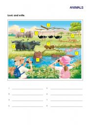 English Worksheet: safari animals