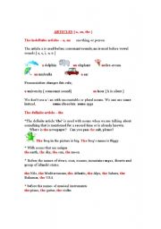English Worksheet: Articles a an the