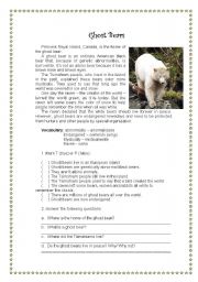 English Worksheet: Ghost Bears - Reading Activity