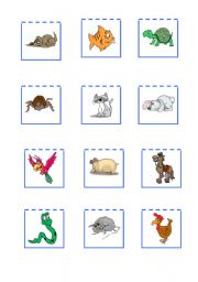 English Worksheet: Pets cards to go with my 