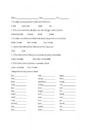 English worksheet: Spelling rules for plural nouns