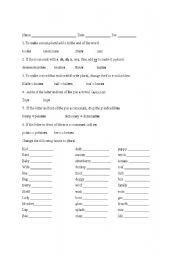 English Worksheet: Spelling rules for plural nouns