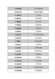 English Worksheet: collective nouns