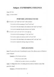 English worksheet: expressing feelings lesson plan