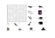 English worksheet: Animal picture wordsearch