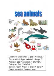 Sea animals - ESL worksheet by laura crespillo
