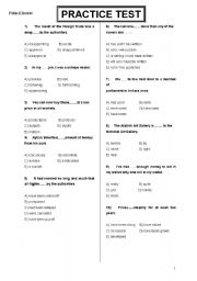 English worksheet: practice test 1