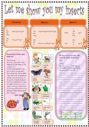 English Worksheet: let me show you my insects.(four skills) jam family s insect collection