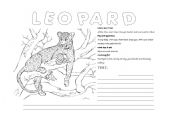 English worksheet: Animal worksheets