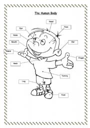 English Worksheet: Parts of the body (flashcard & worksheet)