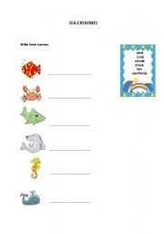 English worksheet: Sea Creatures