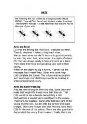 Ants Unseen and Vocabulary
