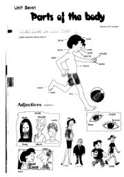 English Worksheet: parts of the body