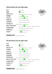 English worksheet: Put the letters into the right order