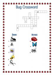 English worksheet: Bug Crossword