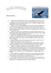 some amazing facts about dolphins