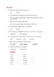 English worksheet: Plural Nouns