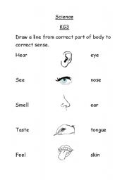 English Worksheet: our senses