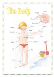 English Worksheet: the body (2sheets)