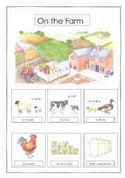 English Worksheet: on the farm vocabulary (2sheets)