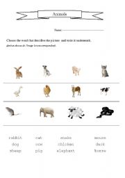 English worksheet: Animal Names matching exercise