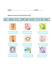 English Worksheet: Body parts